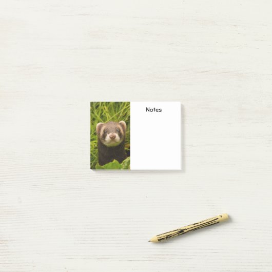 Cute Brown Ferret in de Grass Post-it® Notes (Op bureau)