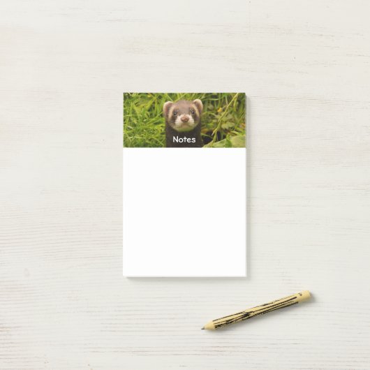Cute Brown Ferret in de Grass Post-it® Notes (Op bureau)