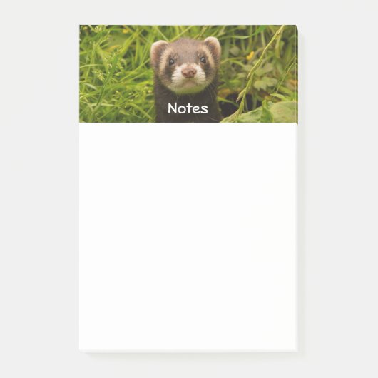 Cute Brown Ferret in de Grass Post-it® Notes (Voorkant)