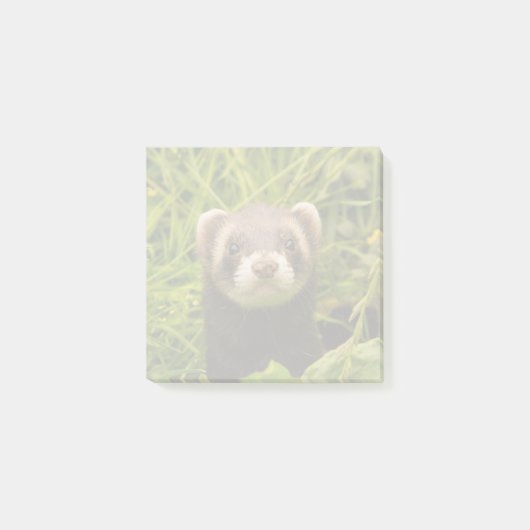 Cute Brown Ferret in de Grass Post-it® Notes (Voorkant)