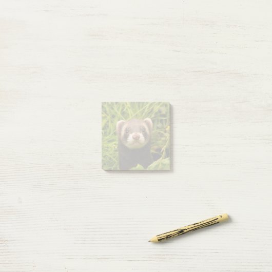 Cute Brown Ferret in de Grass Post-it® Notes (Op bureau)