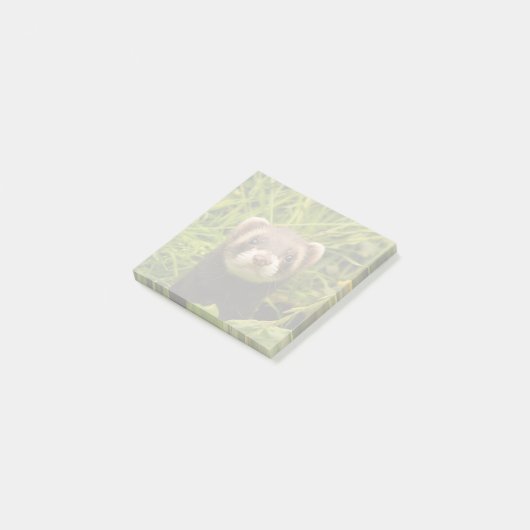 Cute Brown Ferret in de Grass Post-it® Notes (Schuin)