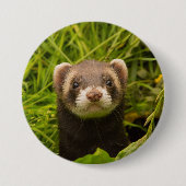 Cute Brown Ferret in de Grass Ronde Button 7,6 Cm (Voorkant)