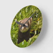 Cute Brown Ferret in de Grass Ronde Klok (Hoek)