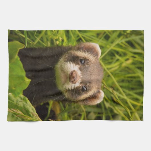 Cute Brown Ferret in de Grass Theedoek (Horizontaal)