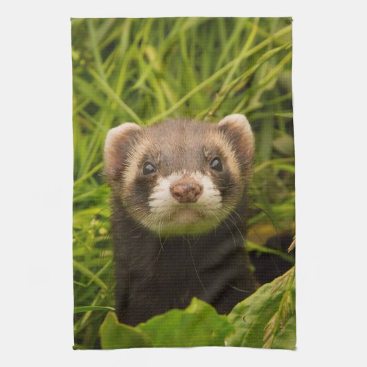 Cute Brown Ferret in de Grass Theedoek (Verticaal)