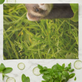 Cute Brown Ferret in de Grass Theedoek (Gevouwen)