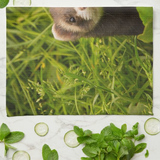 Cute Brown Ferret in de Grass Theedoek (Gevouwen)