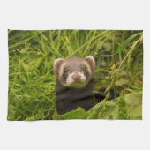 Cute Brown Ferret in de Grass Theedoek (Horizontaal)