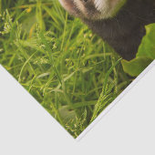 Cute Brown Ferret in de Grass Tissuepapier (Detail)