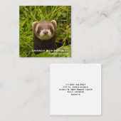 Cute Brown Ferret in de Grass Vierkante Visitekaartje (Voorkant / Achterkant)