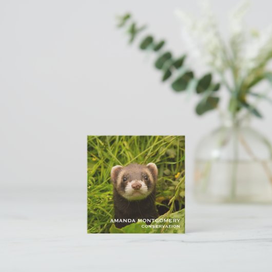 Cute Brown Ferret in de Grass Vierkante Visitekaartje (Staand voorkant)