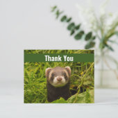 Cute Brown Ferret in the Grass Dank u Briefkaart (Staand voorkant)