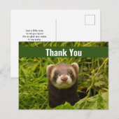Cute Brown Ferret in the Grass Dank u Briefkaart (Voorkant / Achterkant)