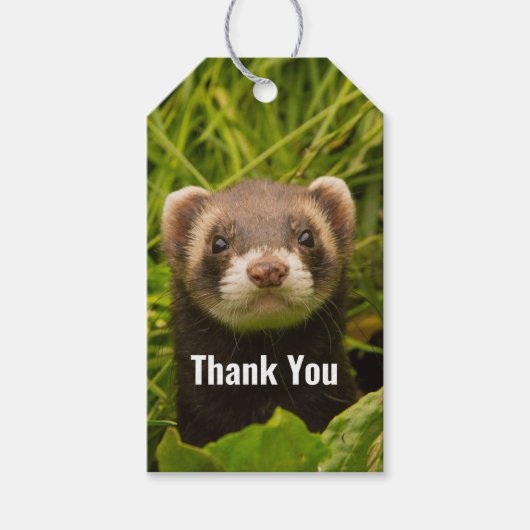 Cute Brown Ferret in the Grass Dank u Cadeaulabel (Voorkant)