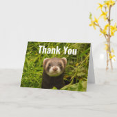 Cute Brown Ferret in the Grass Dank u Kaart (Gele Bloem)