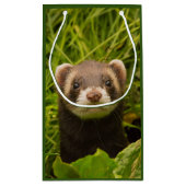 Cute Brown Ferret in the Grass Dank u Klein Cadeauzakje (Achterkant)