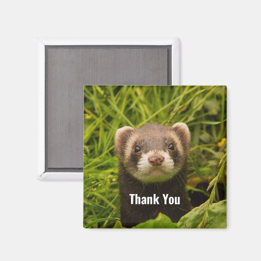Cute Brown Ferret in the Grass Dank u Magneet (Voorkant / Achterkant)