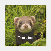 Cute Brown Ferret in the Grass Dank u Magneet (Voorkant)