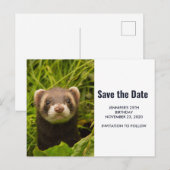Cute Brown Ferret in the Grass Save the Date Uitnodiging Briefkaart (Voorkant / Achterkant)