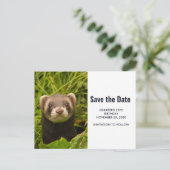 Cute Brown Ferret in the Grass Save the Date Uitnodiging Briefkaart (Staand voorkant)