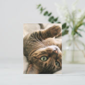 Cute Brown-gebotteld bengaals-kattenkeukenleuf in  Briefkaart (Staand voorkant)