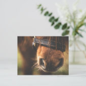 Cute Brown Horse Nose Briefkaart (Staand voorkant)