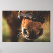 Cute Brown Horse Nose Poster (Voorkant)