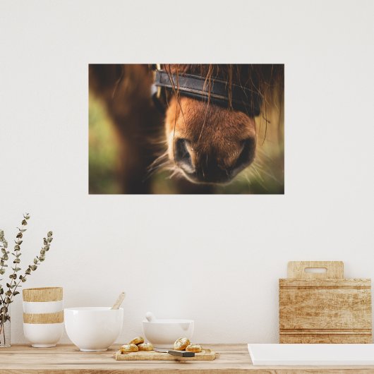 Cute Brown Horse Nose Poster (Keuken)