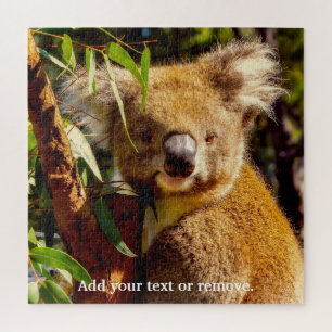Cute brown koala beer dat eucalyptusbladeren eet, legpuzzel