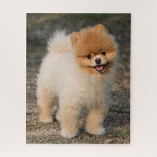 Cute Brown Pomeranian Puppy Dog Legpuzzel