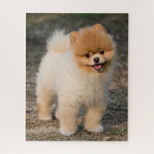 Cute Brown Pomeranian Puppy Dog Legpuzzel (Verticaal)