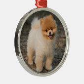 Cute Brown Pomeranian Puppy Dog Metalen Ornament (Rechts)
