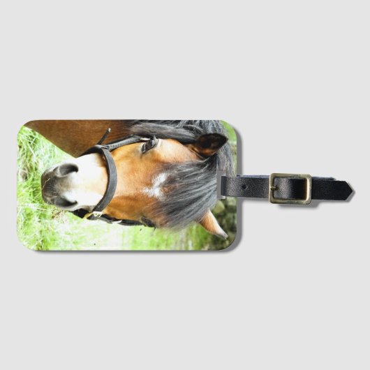 CUTE BROWN PONY BAGAGELABEL (Voorkant (horizontaal))