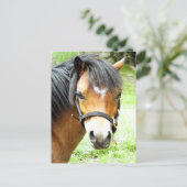 CUTE BROWN PONY BRIEFKAART (Staand voorkant)
