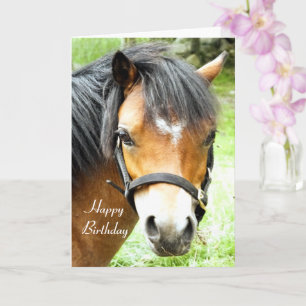 CUTE BROWN PONY   KAART