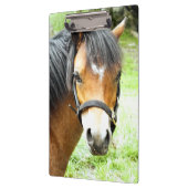 CUTE BROWN PONY KLEMBORD (Links)