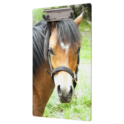 CUTE BROWN PONY KLEMBORD (Links)