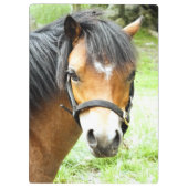 CUTE BROWN PONY KLEMBORD (Achterkant)