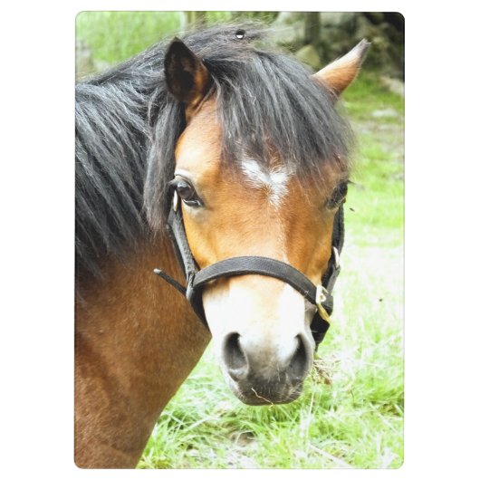 CUTE BROWN PONY KLEMBORD (Achterkant)