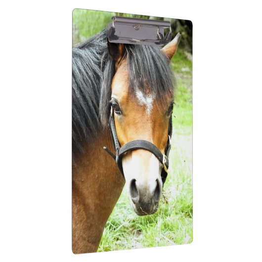 CUTE BROWN PONY KLEMBORD (Rechts)