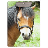 CUTE BROWN PONY KLEMBORD (Voorkant)