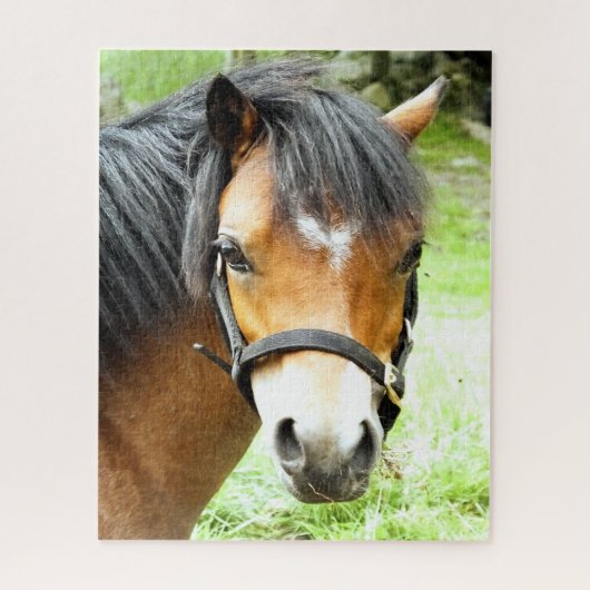 CUTE BROWN PONY LEGPUZZEL (Verticaal)