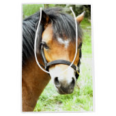 CUTE BROWN PONY MEDIUM CADEAUZAKJE (Voorkant)