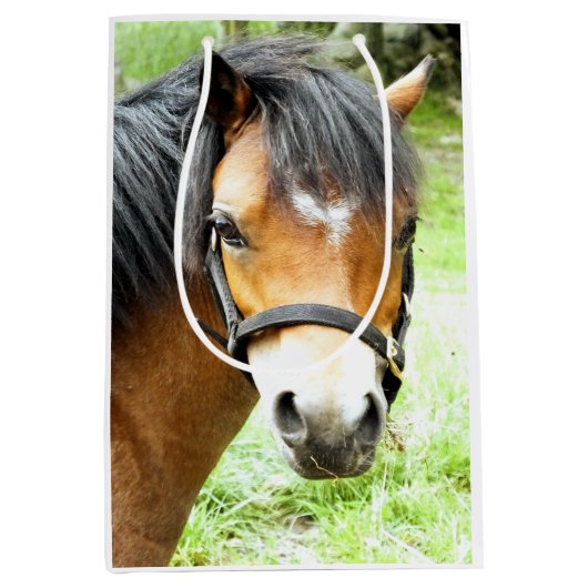 CUTE BROWN PONY MEDIUM CADEAUZAKJE (Voorkant)