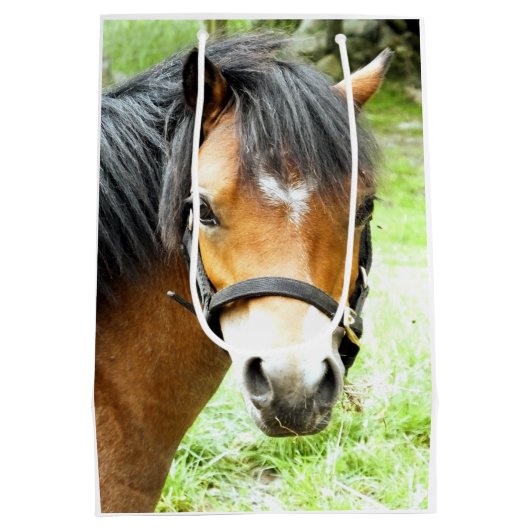 CUTE BROWN PONY MEDIUM CADEAUZAKJE (Achterkant)