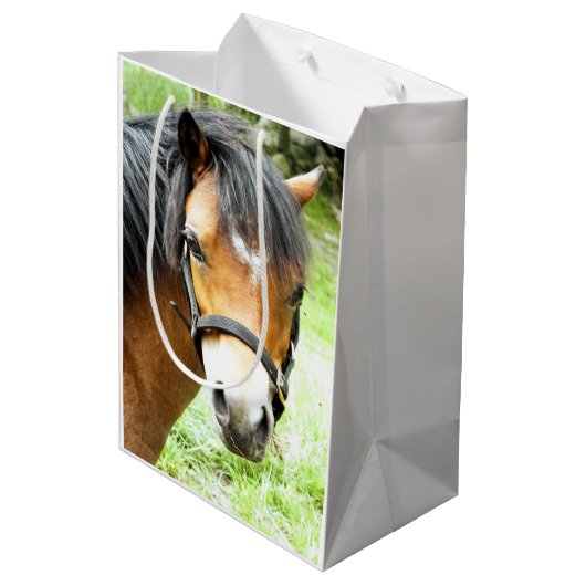 CUTE BROWN PONY MEDIUM CADEAUZAKJE (Achterkant Gekanteld)