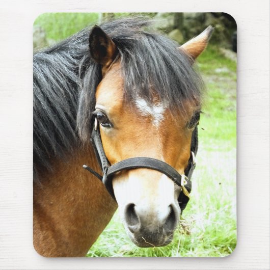 CUTE BROWN PONY MUISMAT (Voorkant)