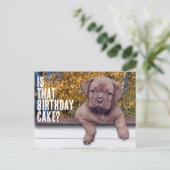 Cute Brown Puppy Photo Special Occasion Sjabloon Briefkaart (Staand voorkant)