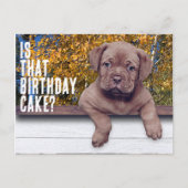 Cute Brown Puppy Photo Special Occasion Sjabloon Briefkaart (Voorkant)